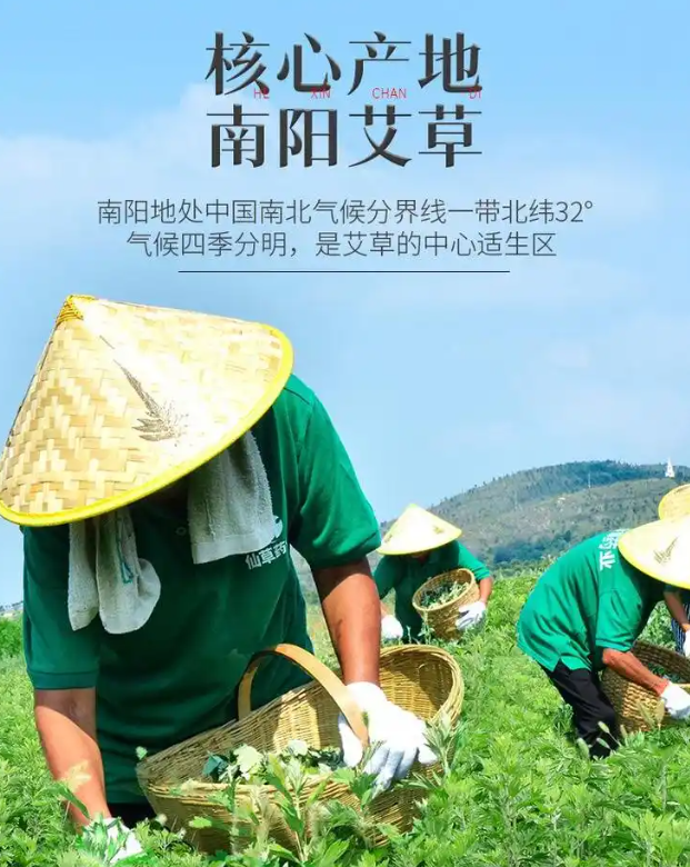 南阳市艾昭万家艾制品有限公司